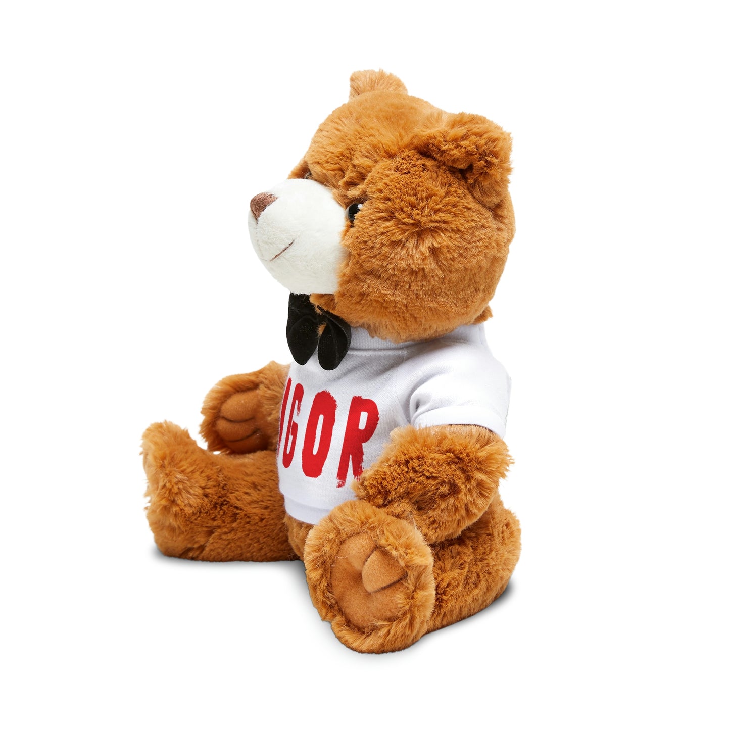 Igor Teddybear
