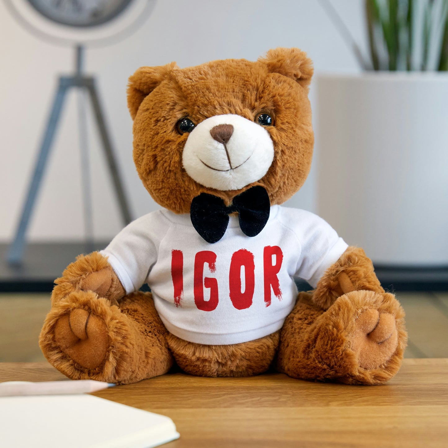 Igor Teddybear
